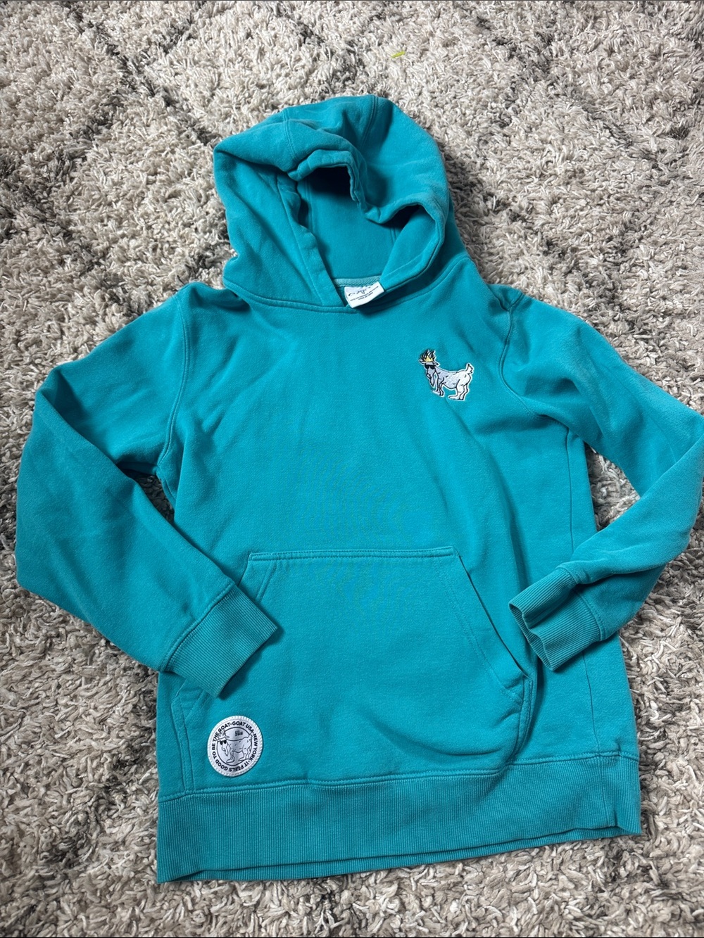 Teal Goat USA hoody